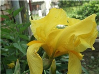 6bc8abcb-Picture 011.jpg